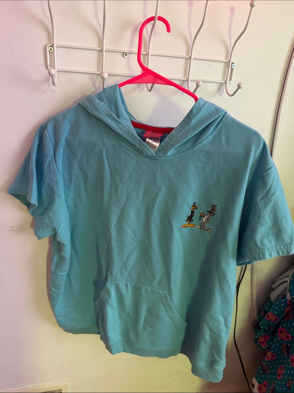 Warner Bros. Light Blue Kids Hoodie Tee with Looney Tunes Patch